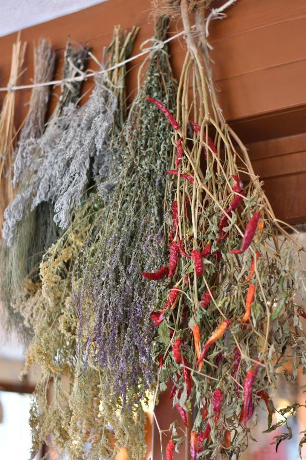 Agriturismo Ai Pradons Meduno エクステリア 写真